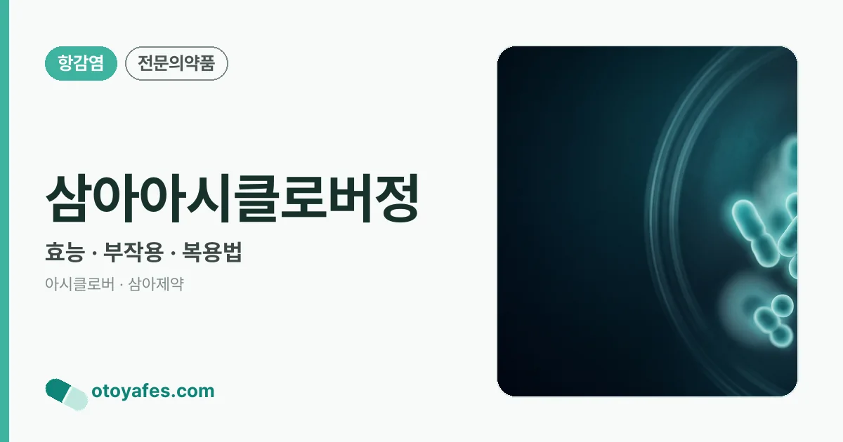삼아아시클로버정 정리 썸네일