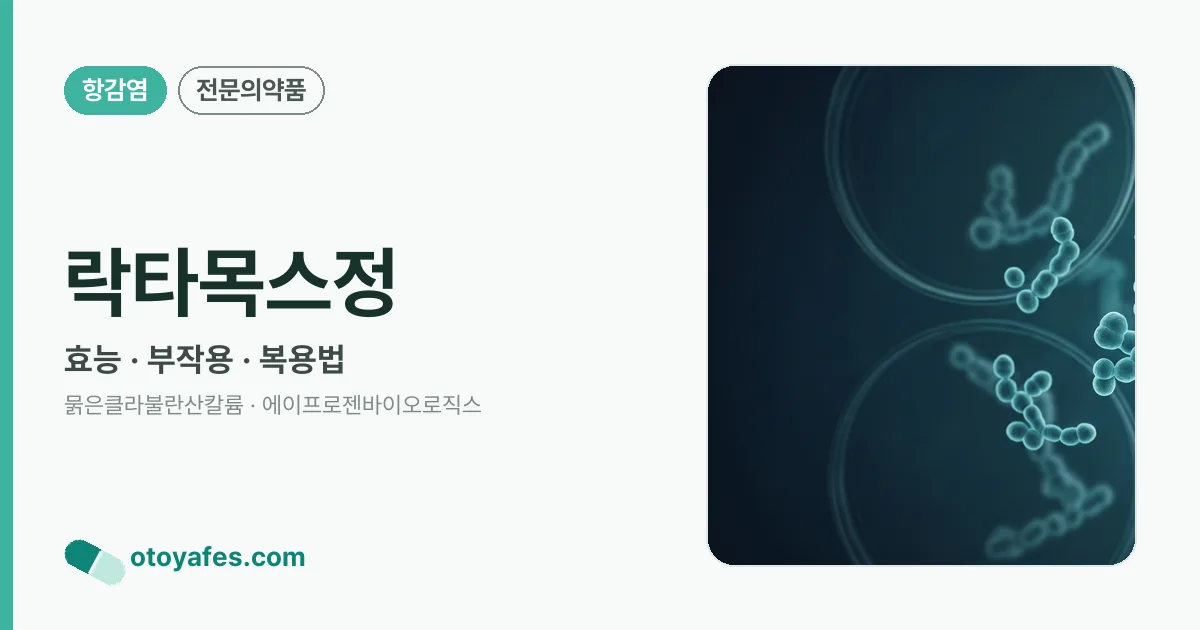 락타목스정 정리 썸네일