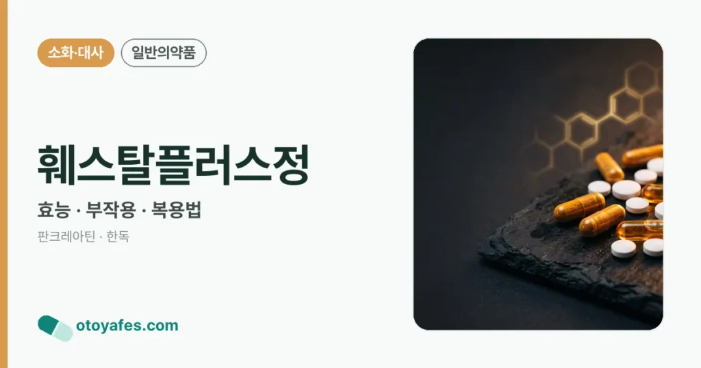 훼스탈플러스정 정리 썸네일