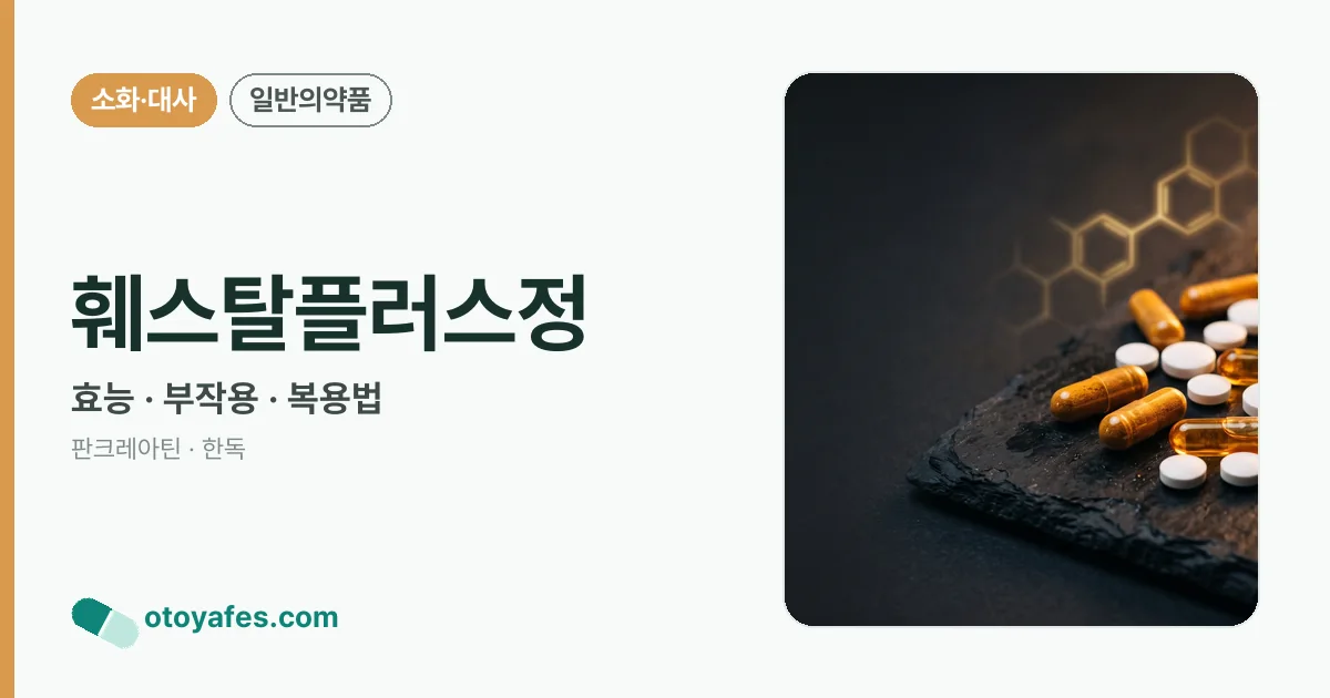훼스탈플러스정 정리 썸네일