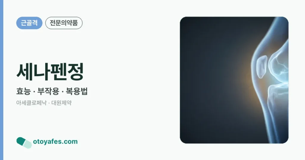세나펜정 정리 썸네일