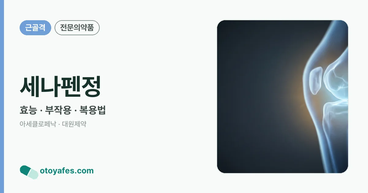 세나펜정 정리 썸네일