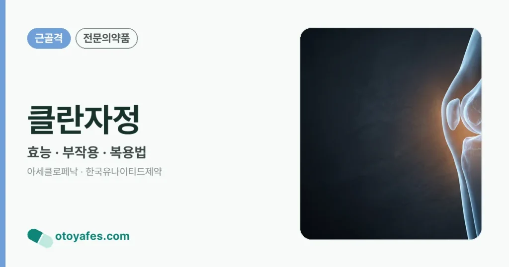 클란자정 정리 썸네일