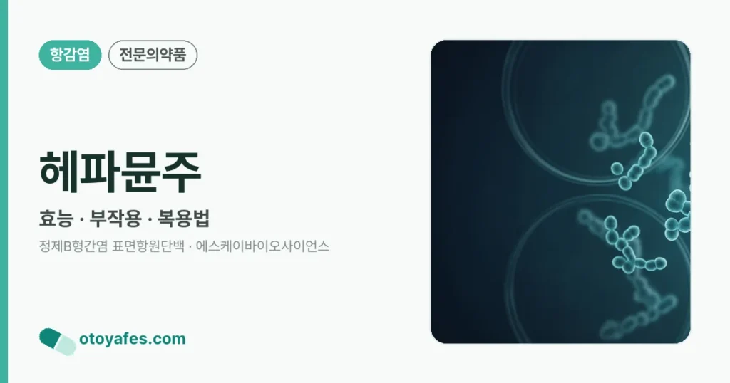 헤파뮨주 정리 썸네일