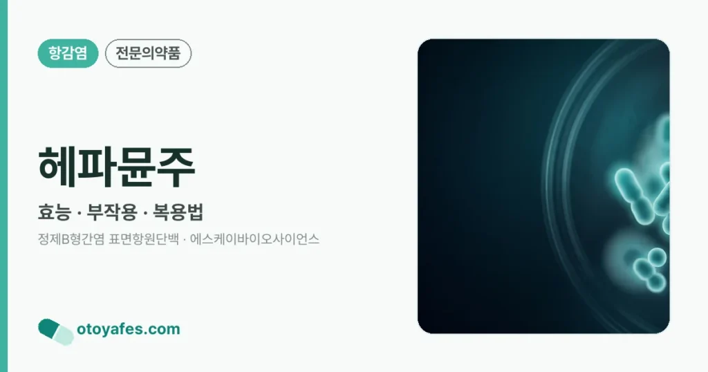 헤파뮨주 정리 썸네일