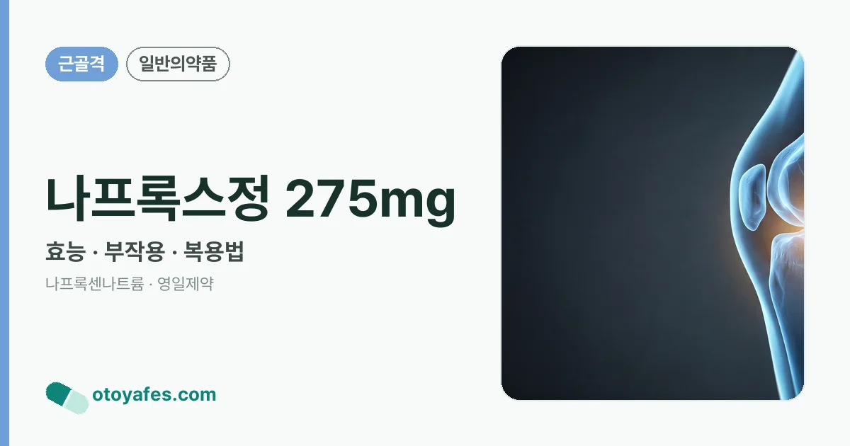 나프록스정 275mg 정리 썸네일