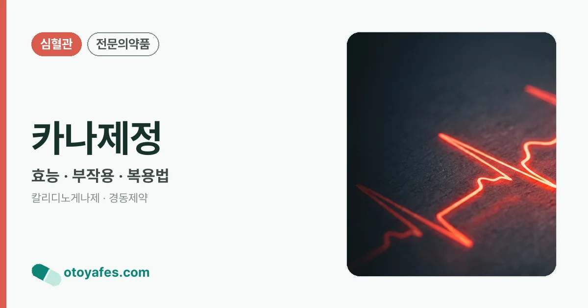 카나제정 정리 썸네일