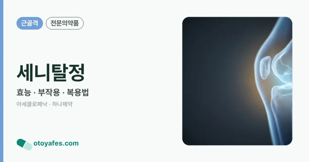 세니탈정 정리 썸네일