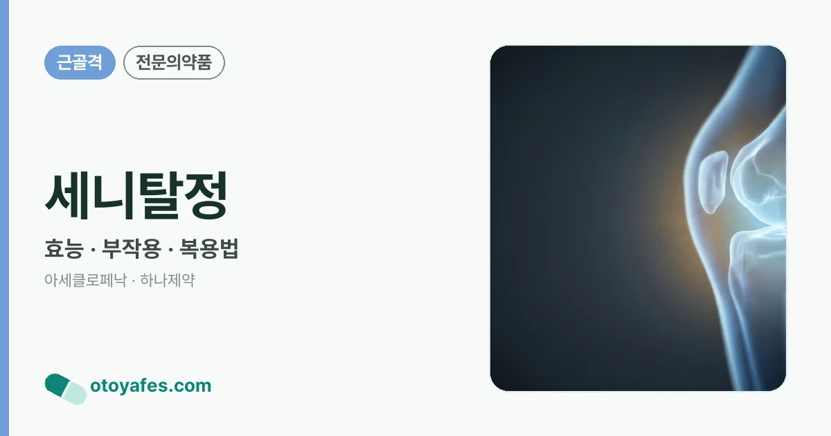 세니탈정 정리 썸네일