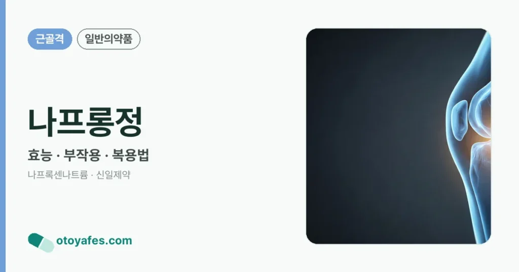 나프롱정 정리 썸네일