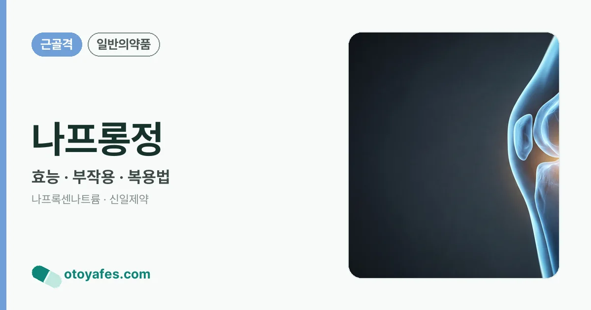 나프롱정 정리 썸네일