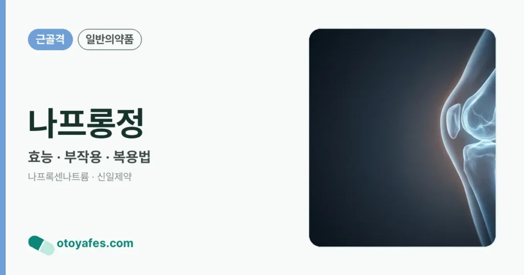 나프롱정 정리 썸네일