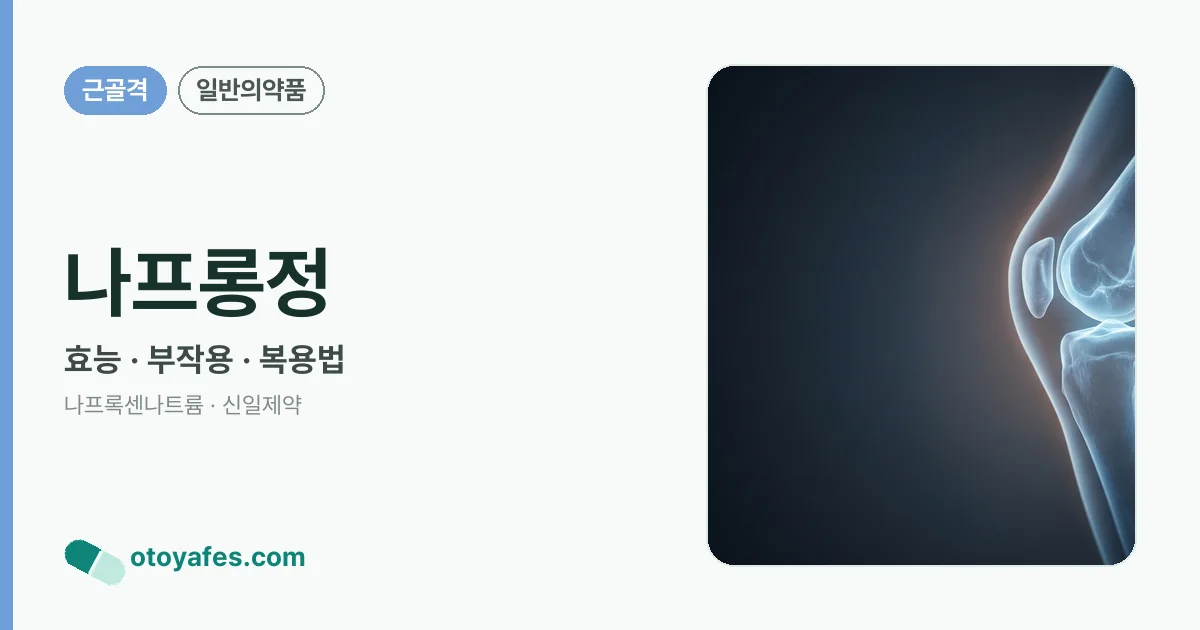 나프롱정 정리 썸네일