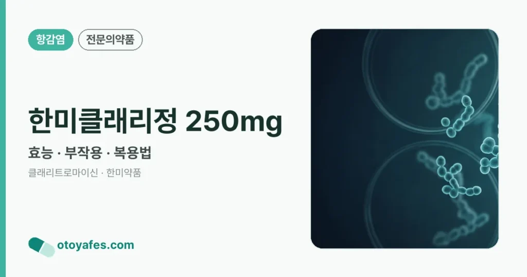 한미클래리정 250mg 정리 썸네일