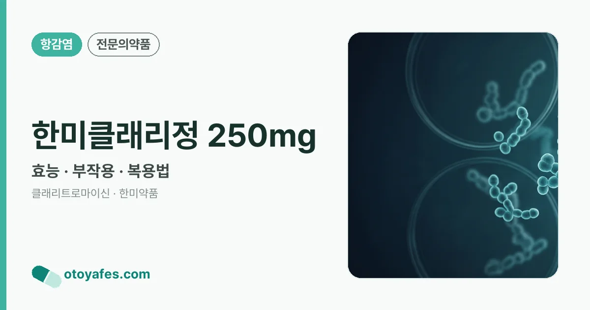 한미클래리정 250mg 정리 썸네일
