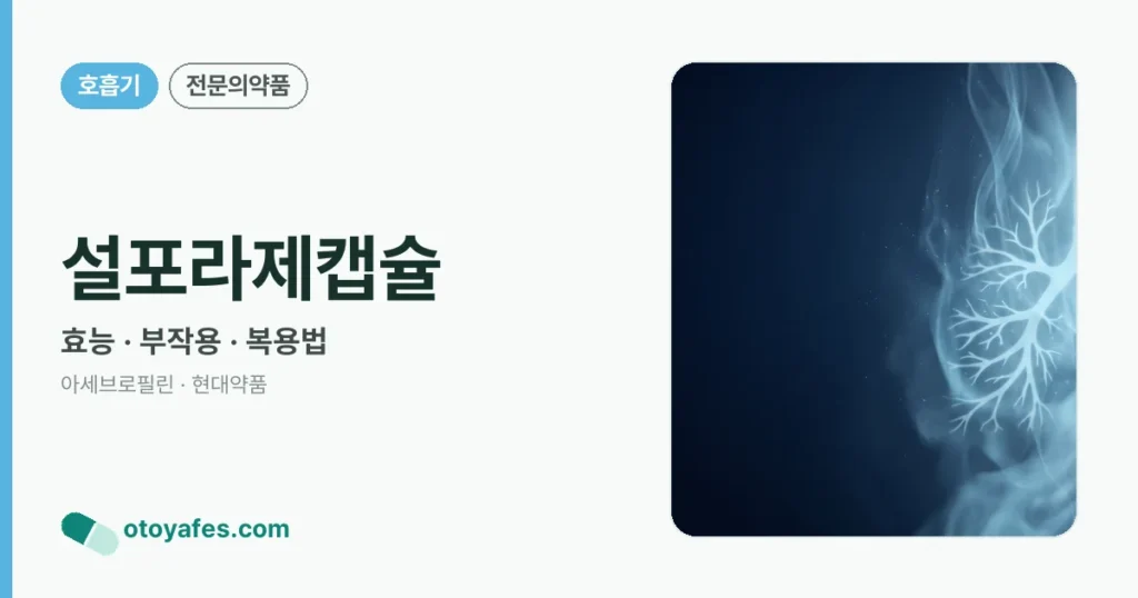 설포라제캡슐 정리 썸네일
