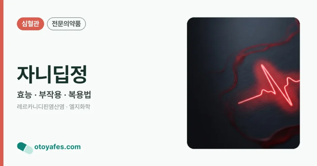 자니딥정 정리 썸네일