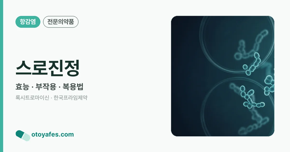 스로진정 정리 썸네일