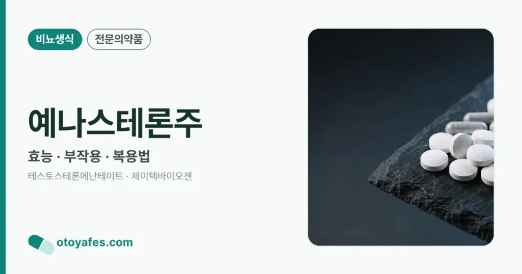예나스테론주 정리 썸네일