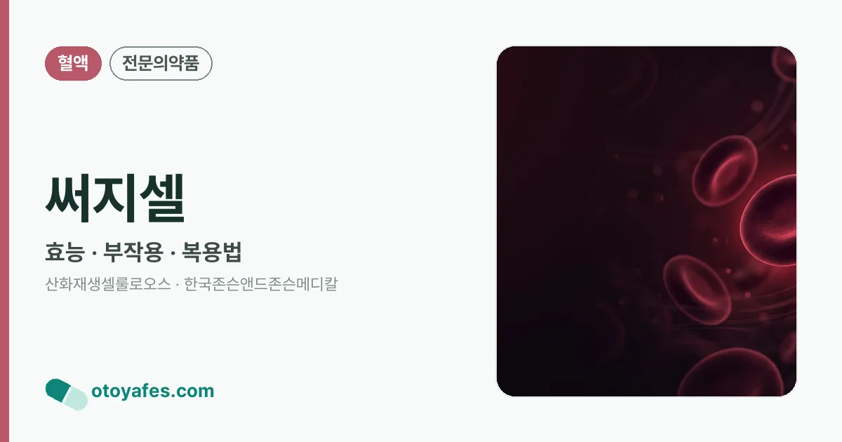 써지셀 정리 썸네일