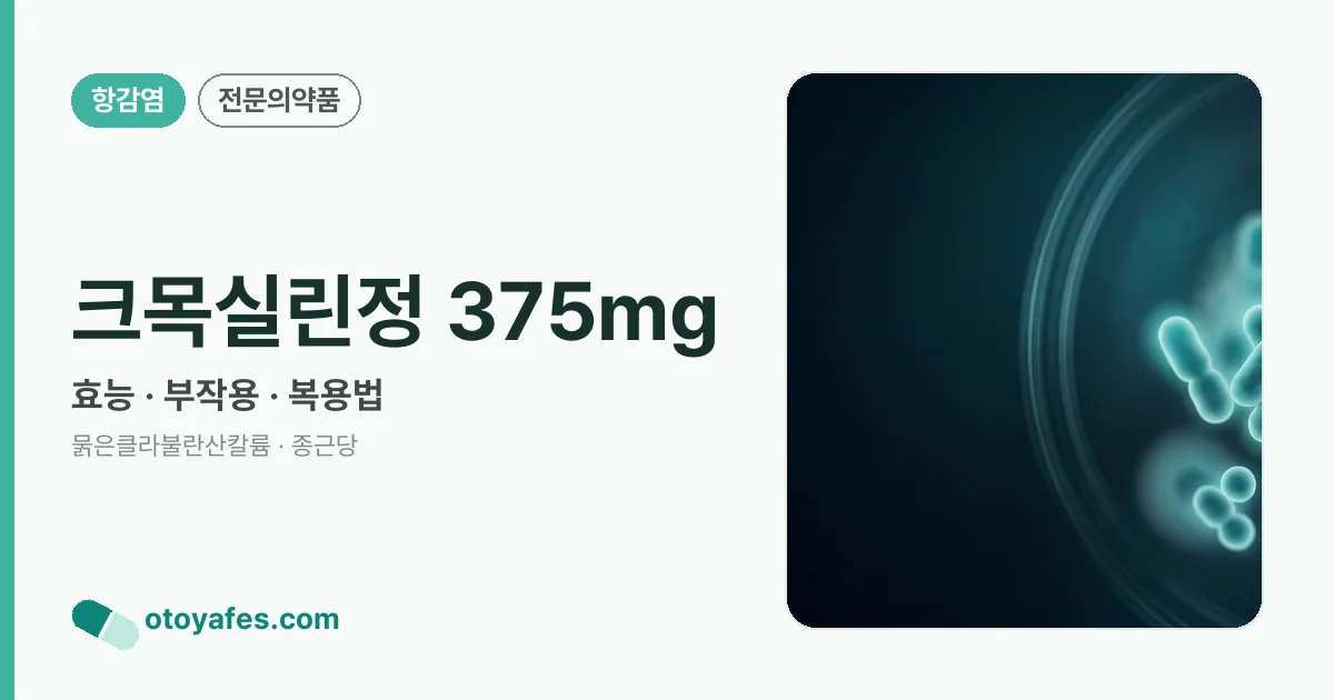 크목실린정 375mg 정리 썸네일