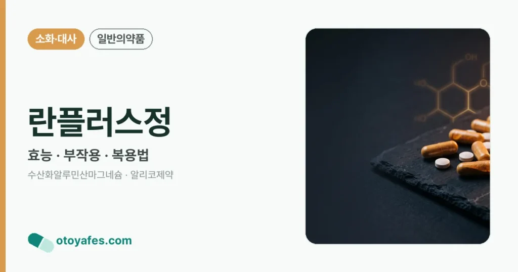 란플러스정 정리 썸네일