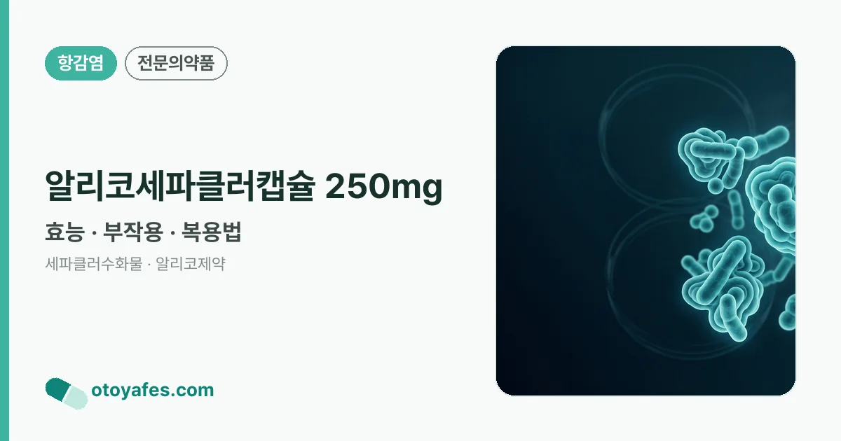 알리코세파클러캡슐 250mg 정리 썸네일