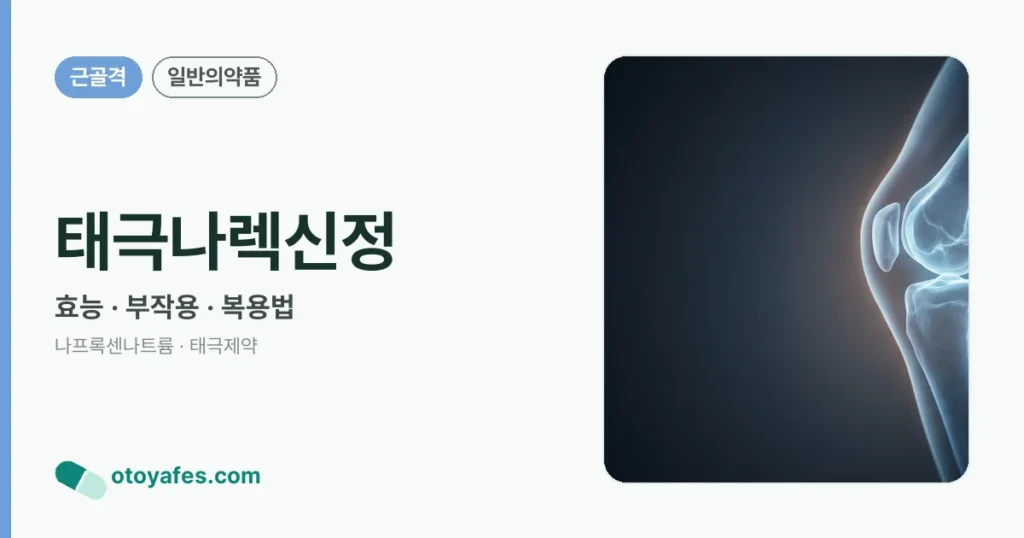 태극나렉신정 정리 썸네일