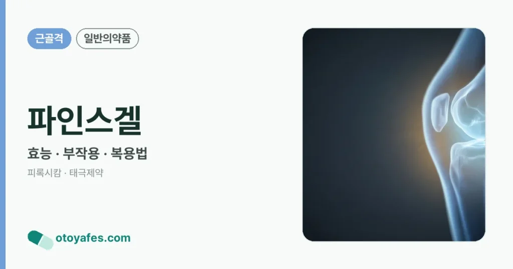 파인스겔 정리 썸네일