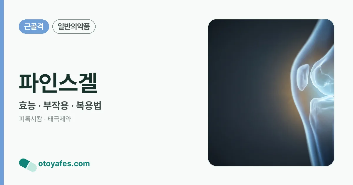 파인스겔 정리 썸네일