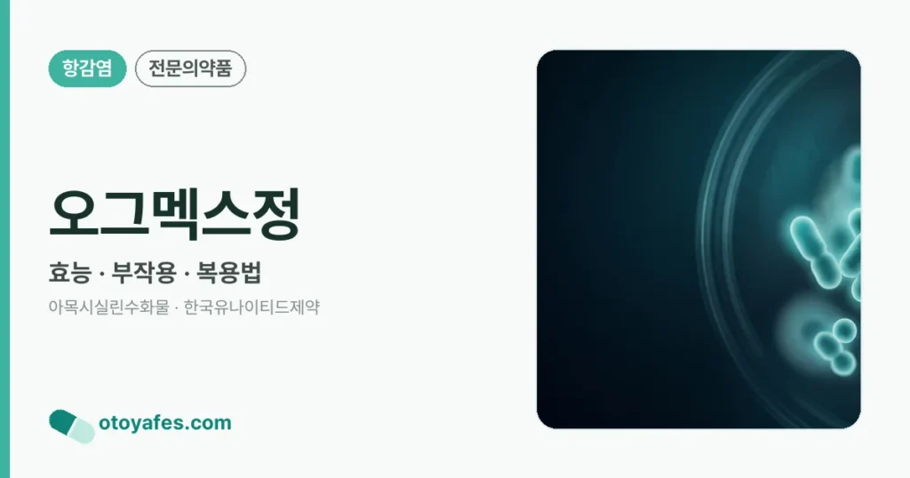 오그멕스정 정리 썸네일