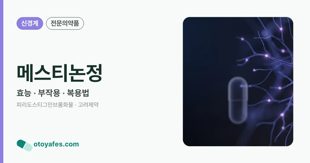 메스티논정 정리 썸네일