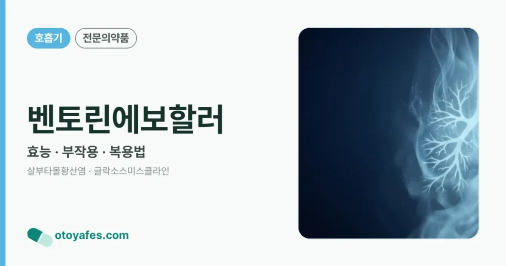 벤토린에보할러 정리 썸네일