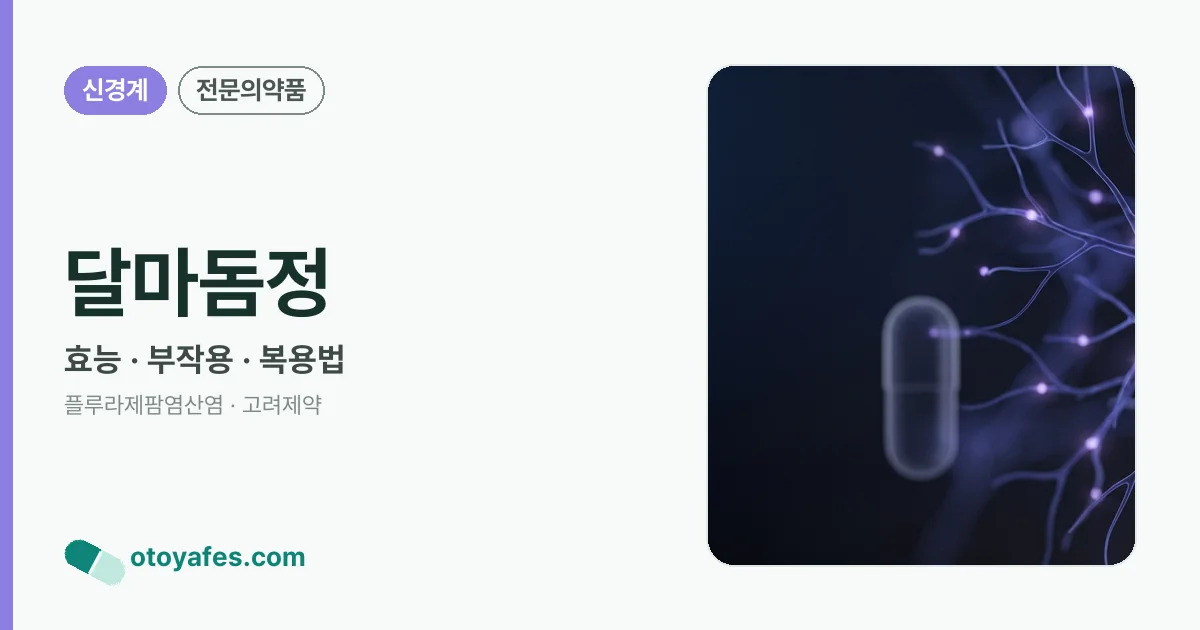 달마돔정 정리 썸네일