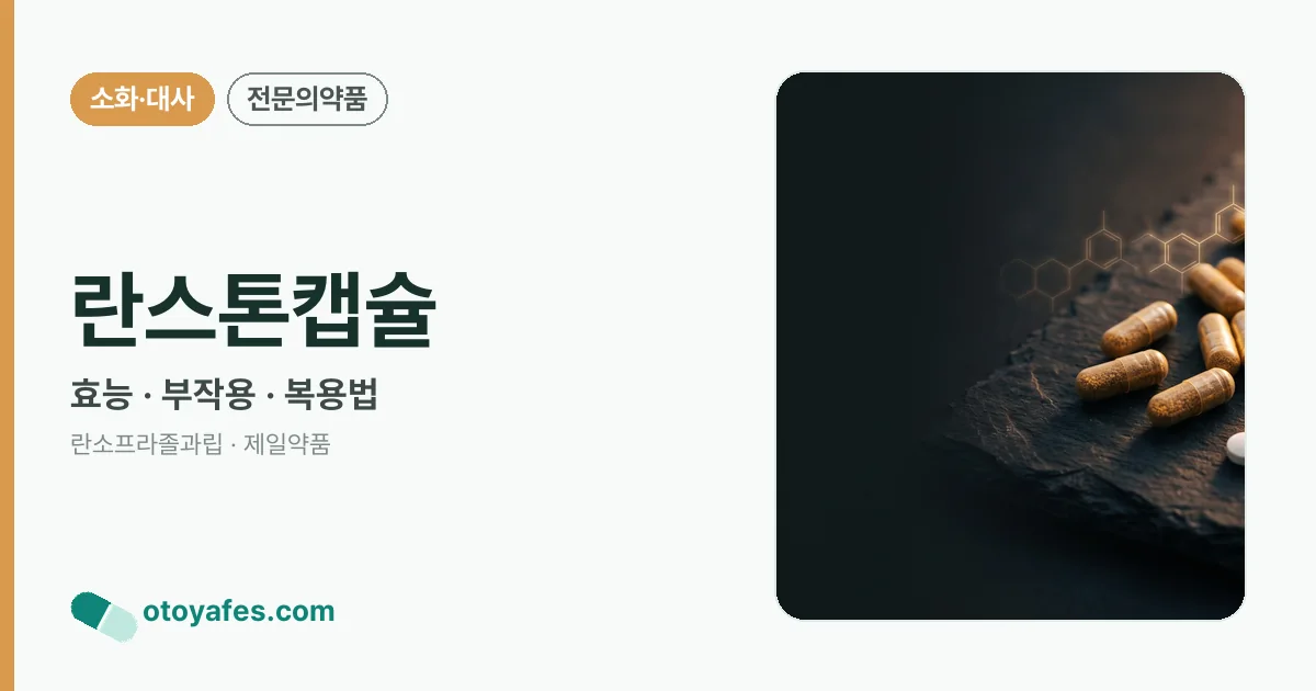 란스톤캡슐 정리 썸네일