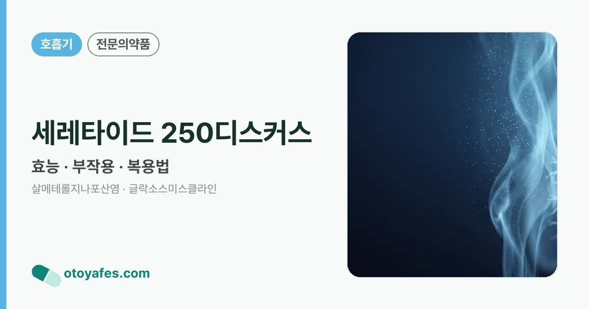 세레타이드 250디스커스 정리 썸네일