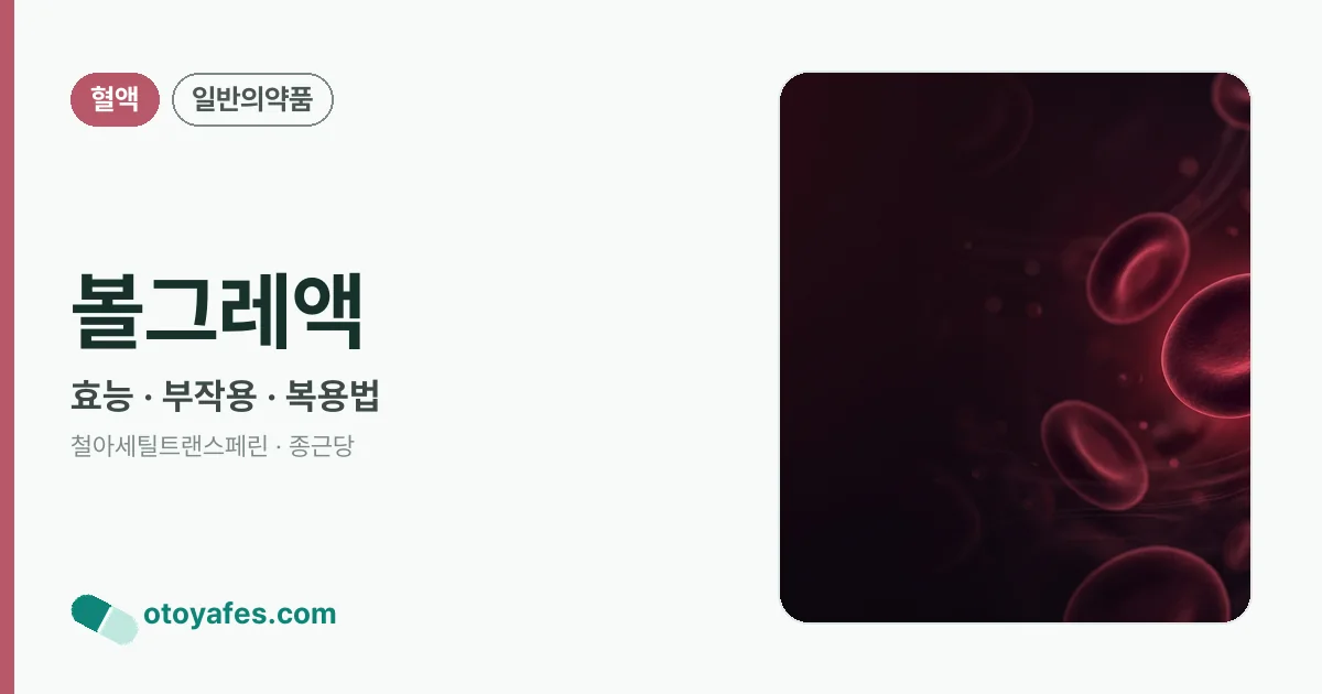 볼그레액 정리 썸네일