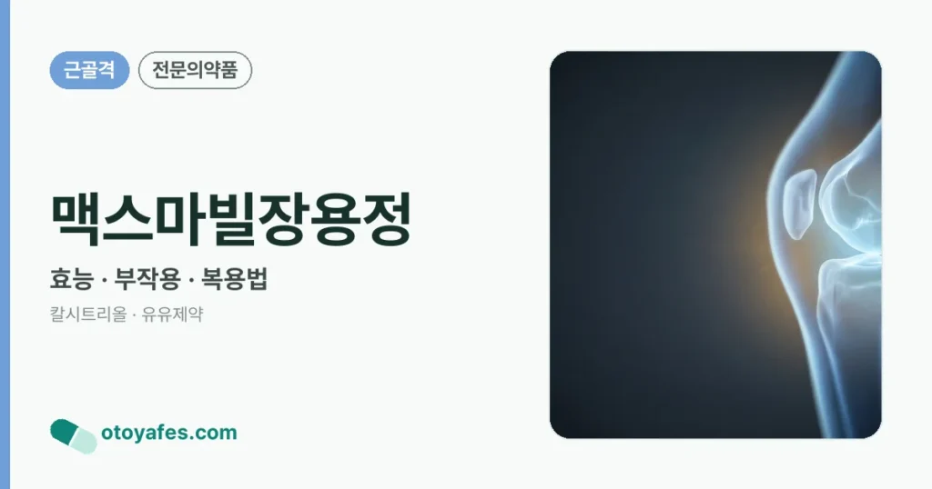 맥스마빌장용정 정리 썸네일