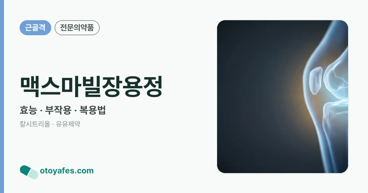 맥스마빌장용정 정리 썸네일