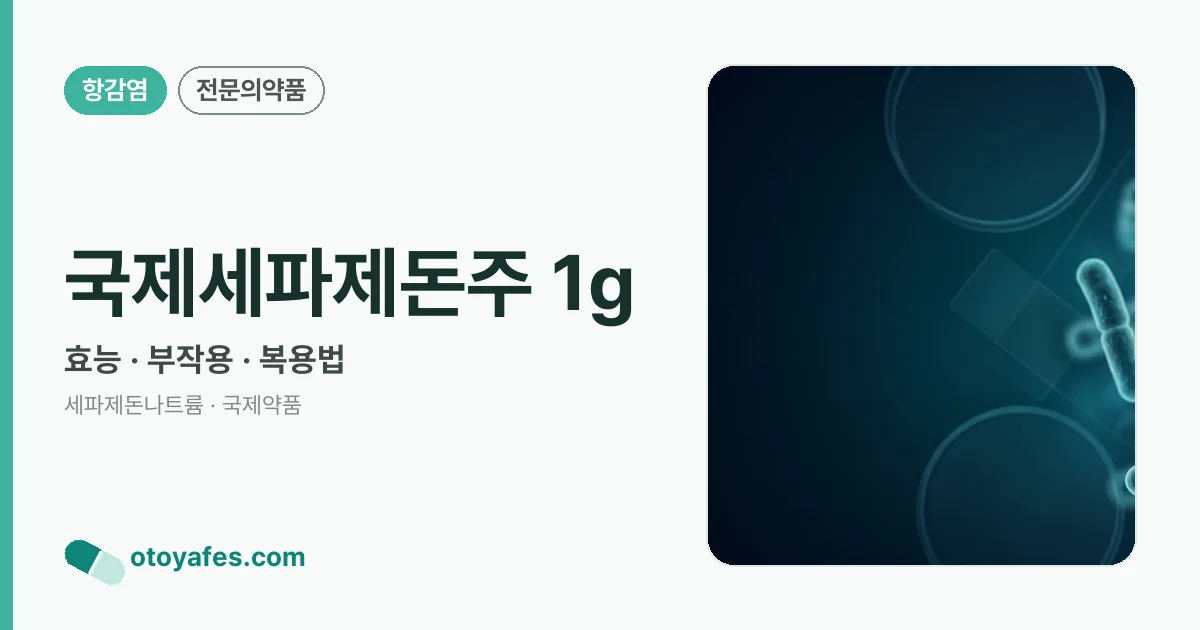 국제세파제돈주 1g 정리 썸네일