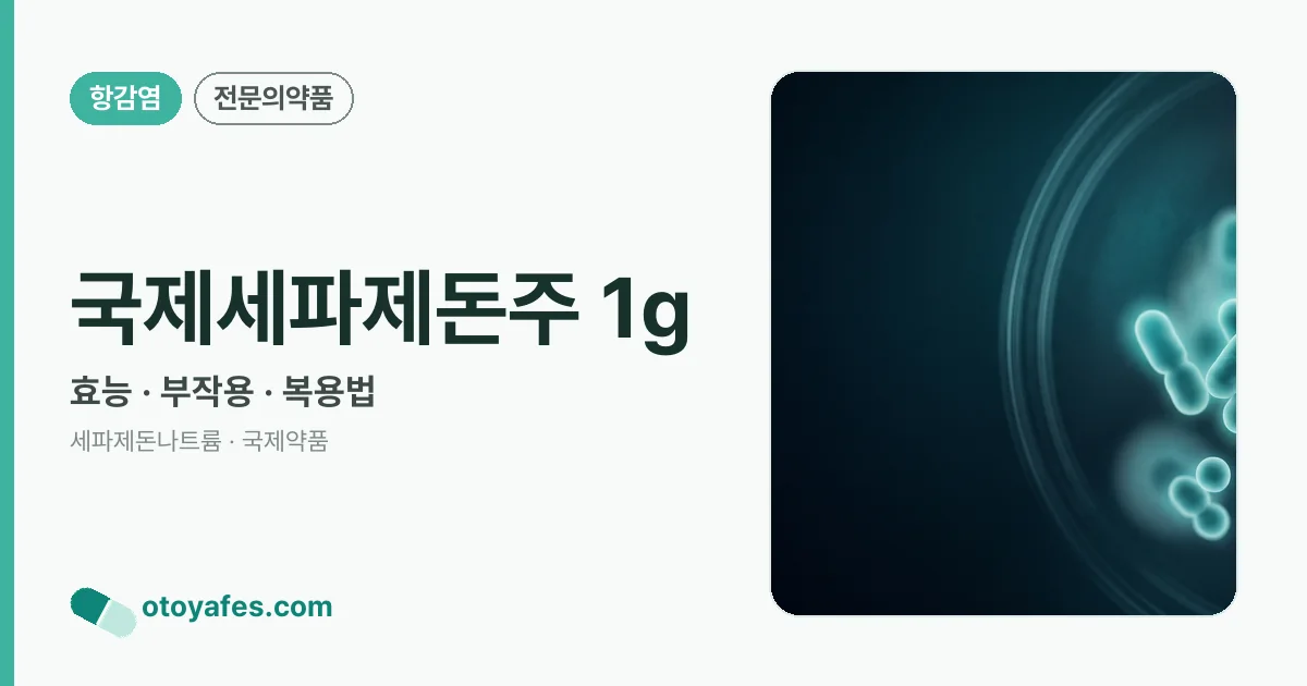 국제세파제돈주 1g 정리 썸네일