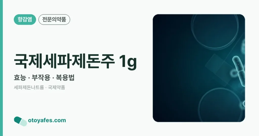 국제세파제돈주 1g 정리 썸네일