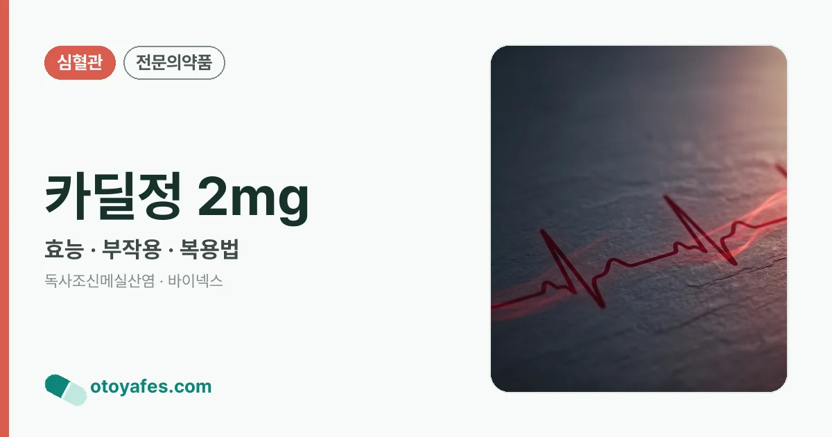 카딜정 2mg 정리 썸네일