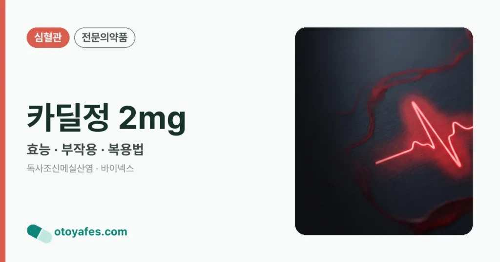 카딜정 2mg 정리 썸네일