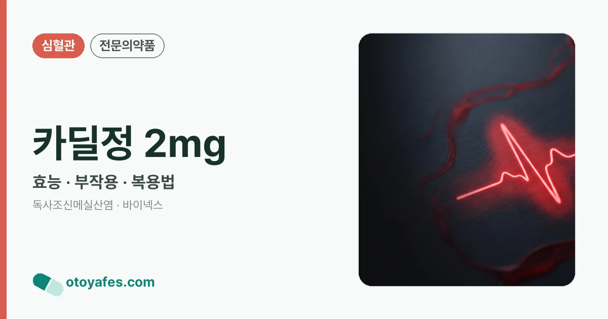 카딜정 2mg 정리 썸네일