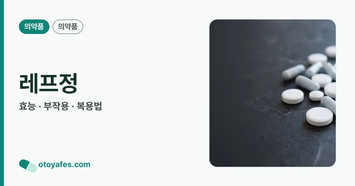 레프정 정리 썸네일