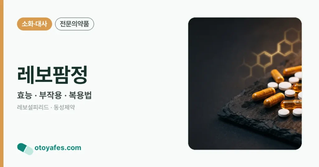 레보팜정 정리 썸네일