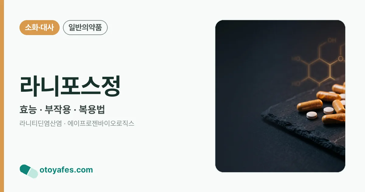 라니포스정 정리 썸네일