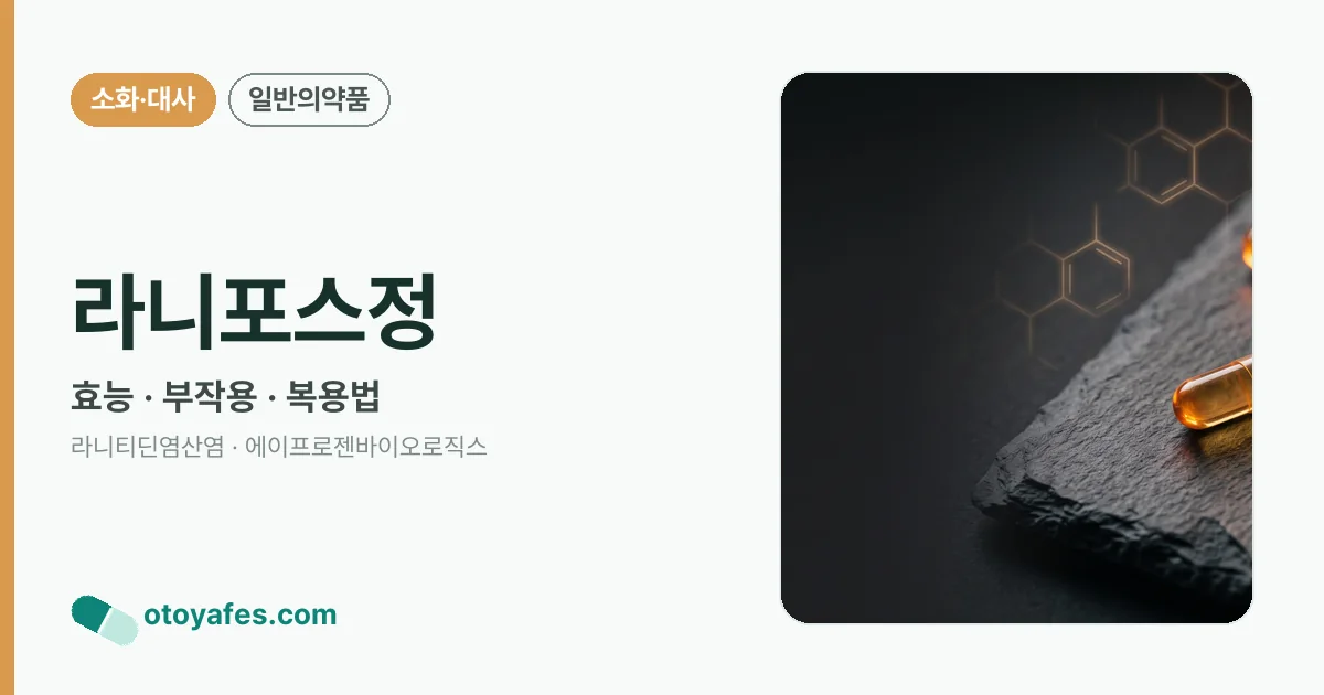 라니포스정 정리 썸네일