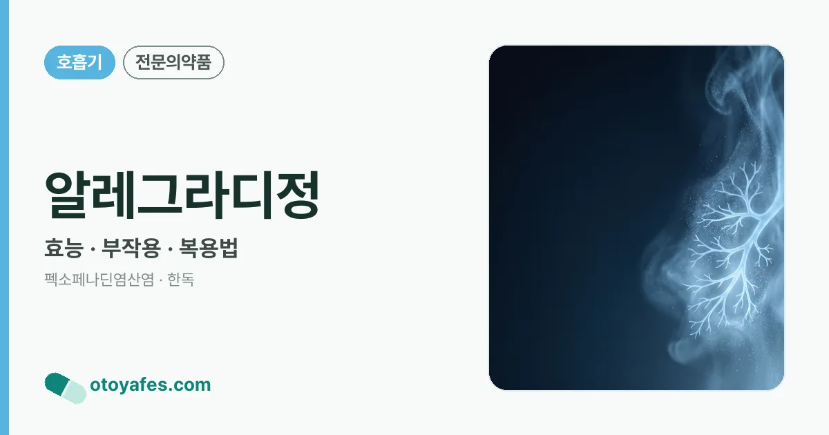 알레그라디정 정리 썸네일